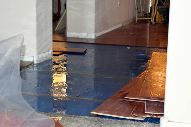 Professional Basement Flood Cleanup technician working in Essex, CA